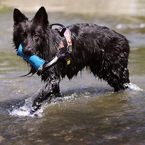 צעצוע משיכה של כלב דינגו עם ידית, כרית עקיצת כלבים למשיכת מלחמה, פגוש כלבים צף על המים, כותנה צבעונית,