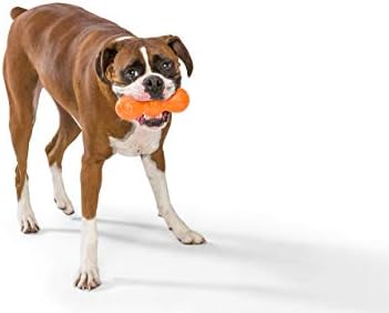 West Paw Zogoflex Rumpus Dog Chew צעצוע & Zogoflex Bumi Tug Tuy Toy - צעצועים לעיסה להביא, משחק, תרגיל לחיות