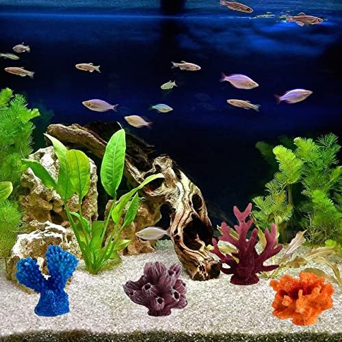 6 מחשב אלמוגים עיצוב שונית אלמוגים רב -צבעוניים אלמוגים אלמוגים אלמוגים לקישוטים לאקווריום
